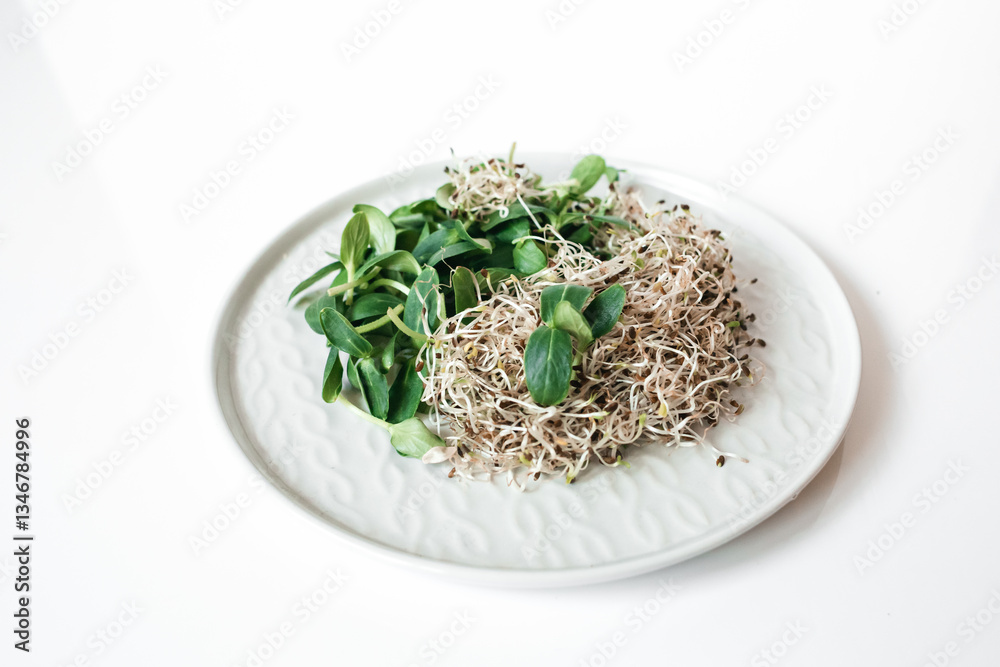 Sunflower and alfalfa sprouts on a plate on a white background. Microgreens, Healthy eating, salad greens, detox, vegetarianism, vegetarian dishes. Sunflower and alfalfa sprouts on a plate on a white background. Microgreens, Healthy eating, salad greens, detox, vegetarianism, vegetarian dishes.