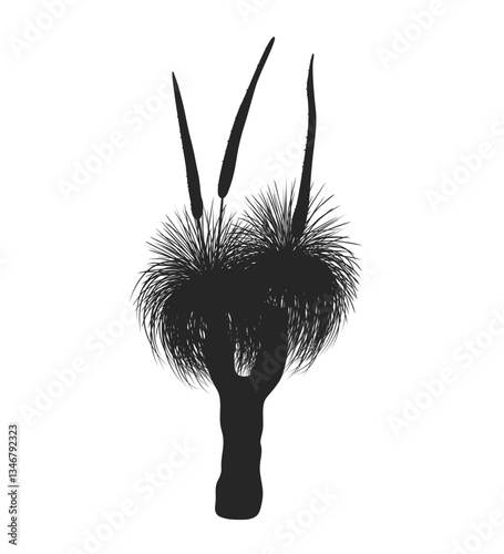 Outline Xanthorrhoea tree with flower vector isolated illustration. The Grass tree in blossom, native Australian endemic flora element