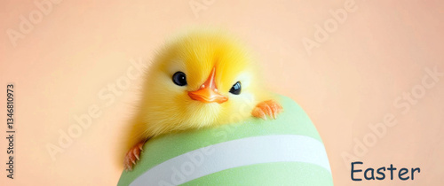 Yellow cute chicken Easter card, Colorful easter eggs, Happy Easter Day