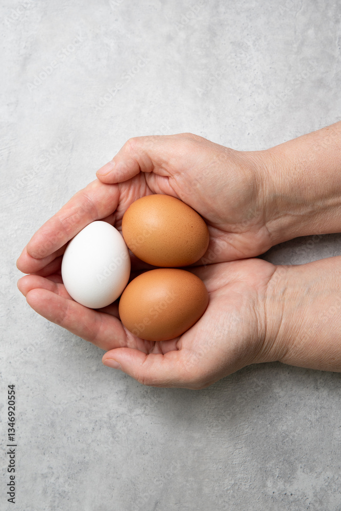 Raw chicken eggs in woman's hands Raw chicken eggs in woman's hands