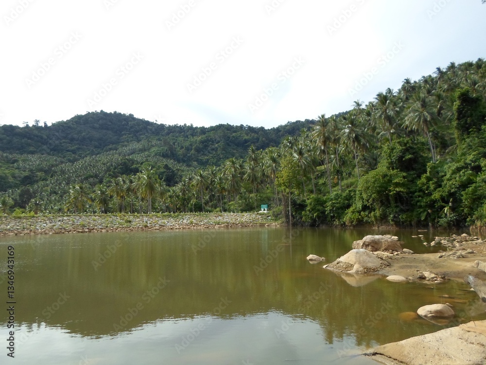 Tranquil River Scene with Coconut Trees and Hills Reflected in Still Waters Tranquil River Scene with Coconut Trees and Hills Reflected in Still Waters