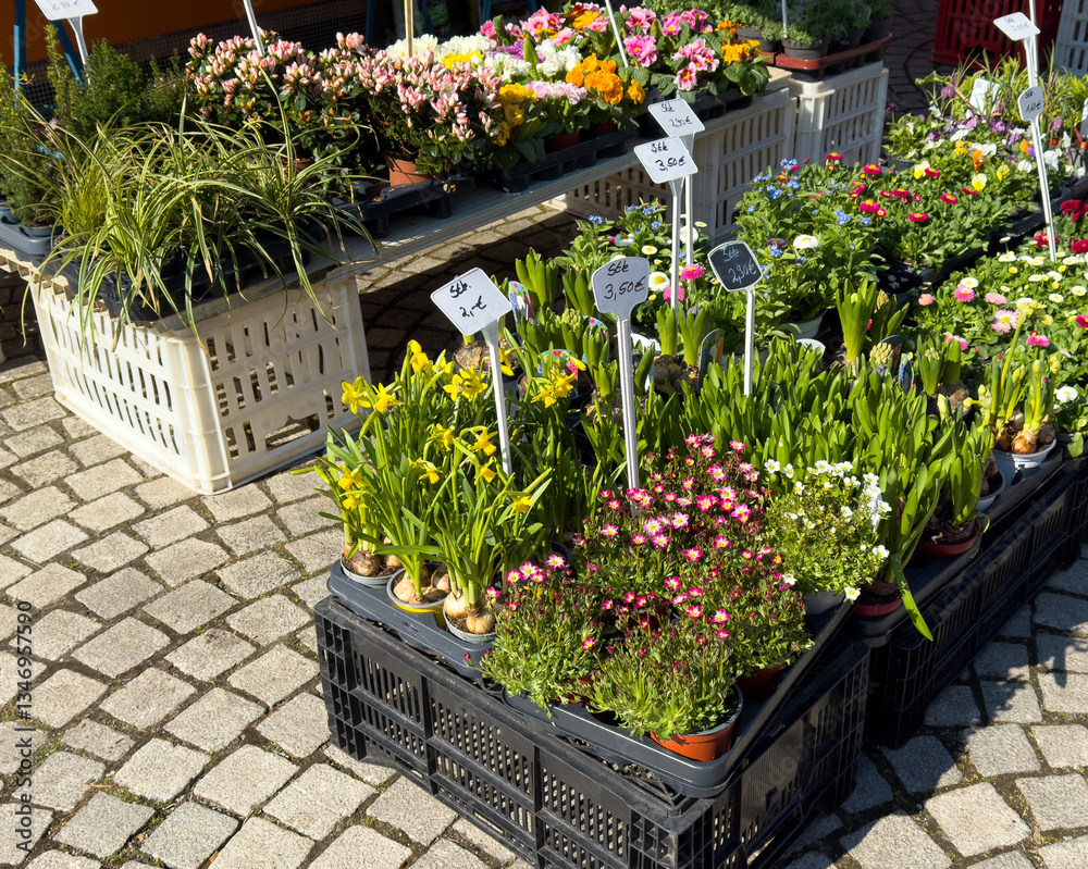 flowers on the street flower shop