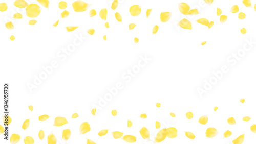 Flower of love, yellow rose petals frame or banner seamless horizontal