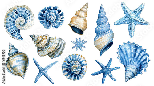 PNG watercolor seashell and starfish collection, hand painted marine illustration with ocean inspired elements in blue and beige tones