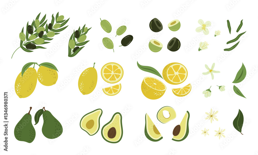 A set of fruits and vegetables, whole and sliced with flowers and leaves. Olives, avocado, lemon. Vector design. A set of fruits and vegetables, whole and sliced with flowers and leaves. Olives, avocado, lemon. Vector design.
