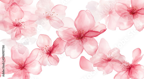 pink watercolor flowers on transparent background