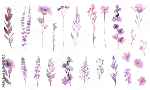 Delicate botanical elements featuring various wildflowers and leaves in soft purple hues vector illustration. The set includes lavender, lilac, other floral species.