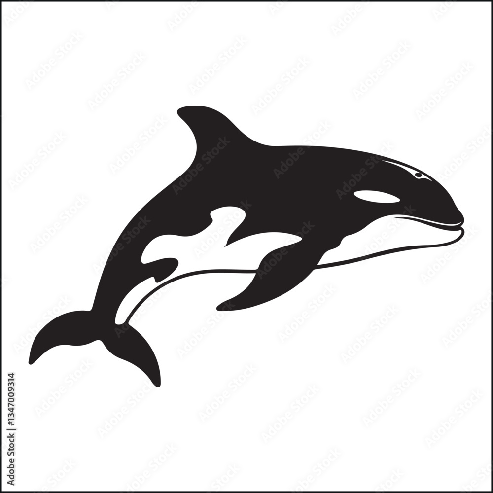 Fototapeta premium silhouette of a Beluga Whale 