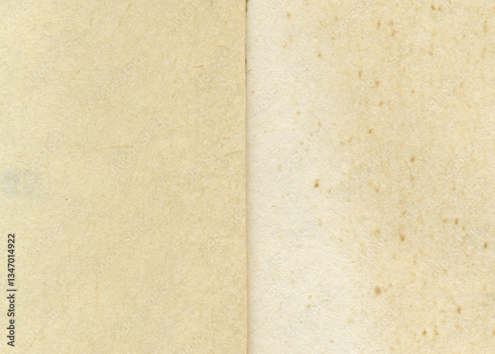 Fototapeta premium Open vintage book page background. Natural old texture of recycle paper. 