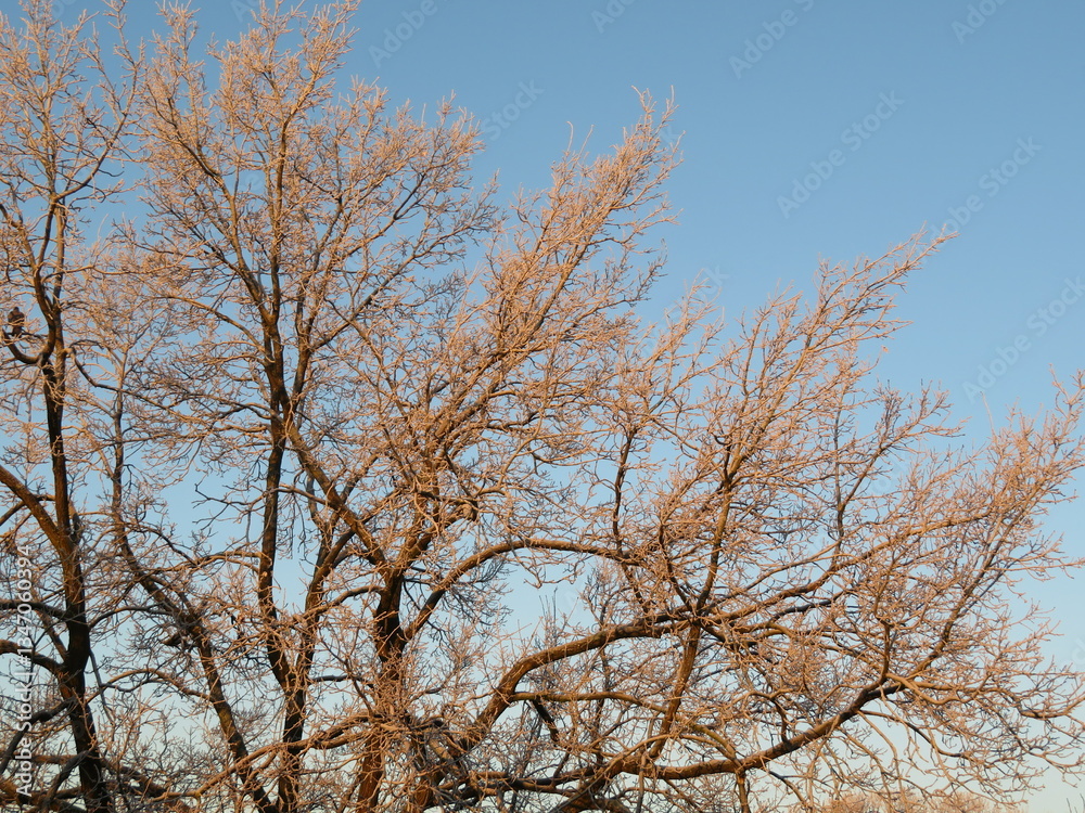 Herbst Herbst