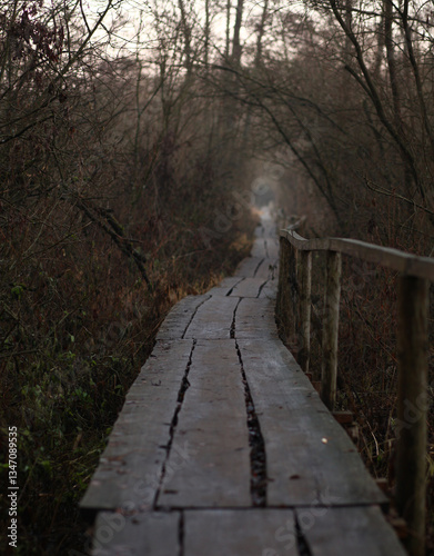 gloomy autumn landscape. wooden bridge under the small forest river