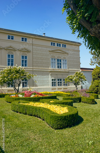 Decorative cultivated flower beds in the city. Ornamental low-cut shrubs topped with flowers.