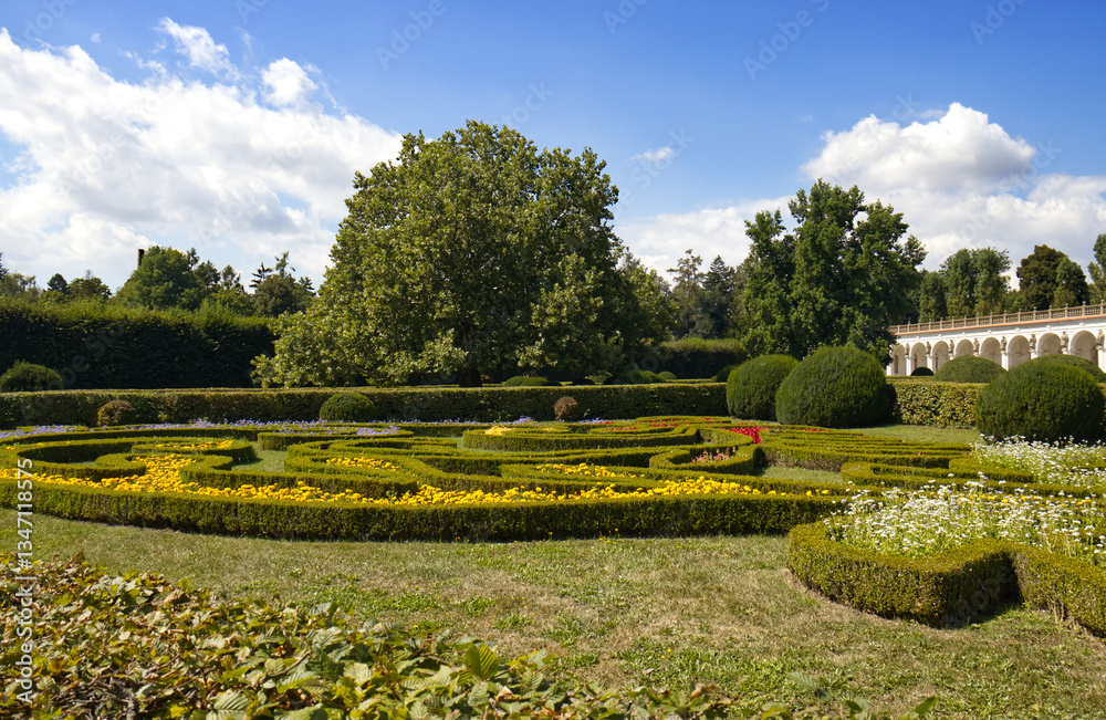Obraz premium Exterior environment of a botanical garden with cultivated ornamental shrubs and plants. Sunny day in a botanical garden. Summer, travel. In the background a colonnade with ornamental columns, sky