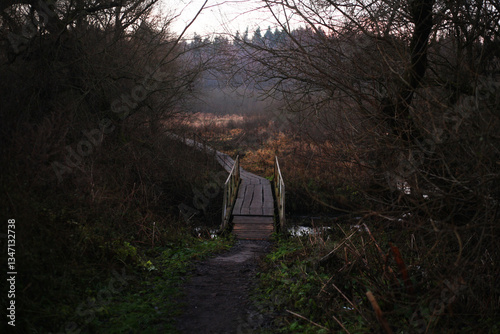 gloomy autumn landscape. wooden bridge under the small forest river