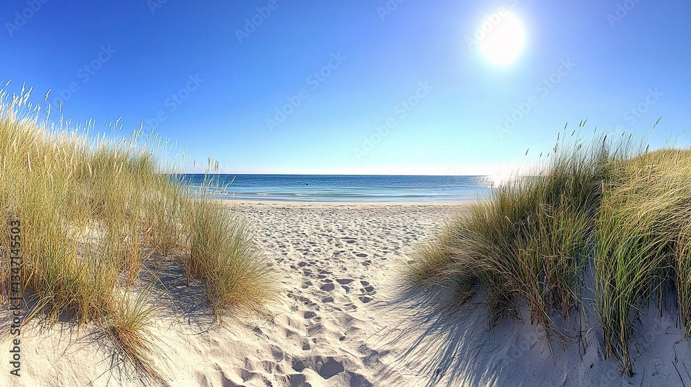 Serene Summer Beach Scene Under Clear Blue Sky and Bright Sun Serene Summer Beach Scene Under Clear Blue Sky and Bright Sun