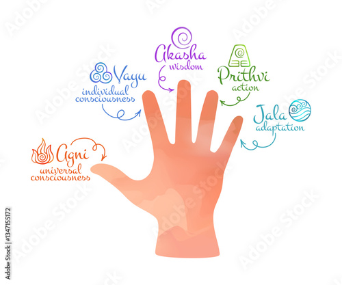 Five Elements of Life on Fingertips Infographic