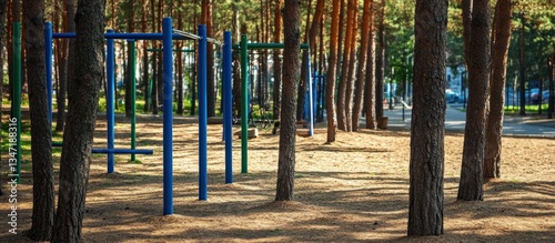 Outdoor Fitness Park in Pine Forest