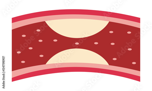 Blood vessel icon. Simple element varicose veins vector, icon isolated on white background. Modern blood vessel artery cholesterol sign symbol web design. Vector illustration.