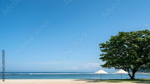 Bright Blue Sky Over Sandy Beach With Green Tree And White Umbrellas In Tropical Sunny Day