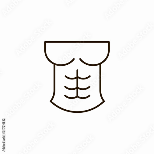 abdomen structure icon sign vector