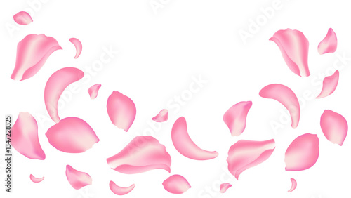 rose and sakura flying petal romantic background vector