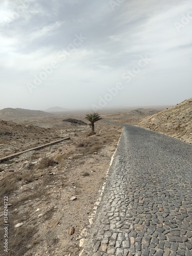 road in desert