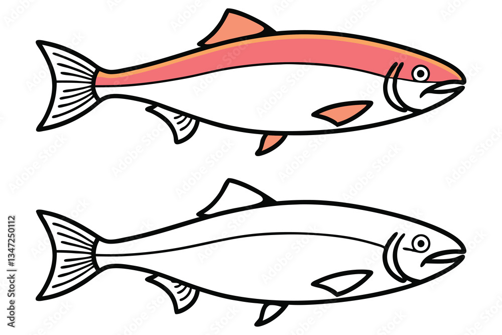 Fototapeta premium Two Illustrations of Salmon Fish One Colored and One Outlined for Coloring