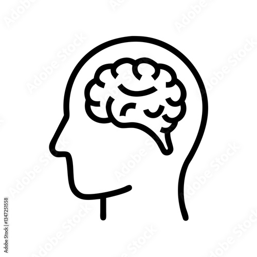 brain
