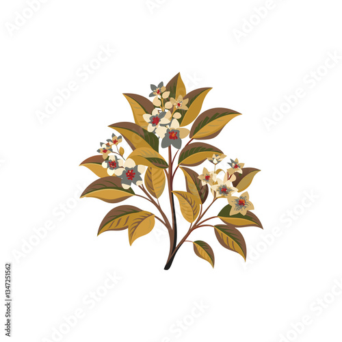 Outline flower set for artistic designs