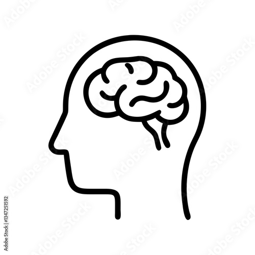 brain