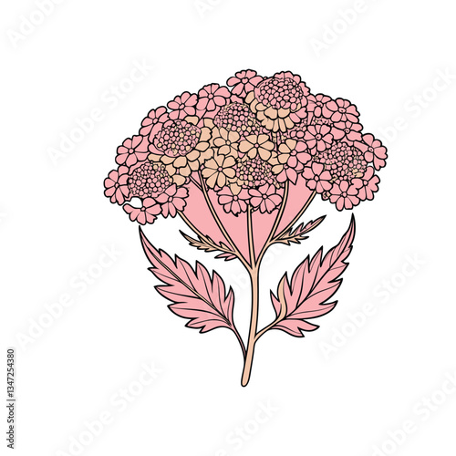 Outline flower set for artistic designs