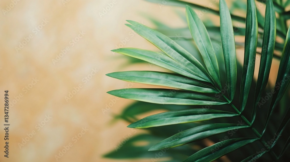 Fototapeta premium Green palm frond against beige background; home decor