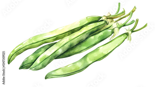 Detailed Watercolor Green Beans Cartoon Vector Illustration for Culinary Banner Design