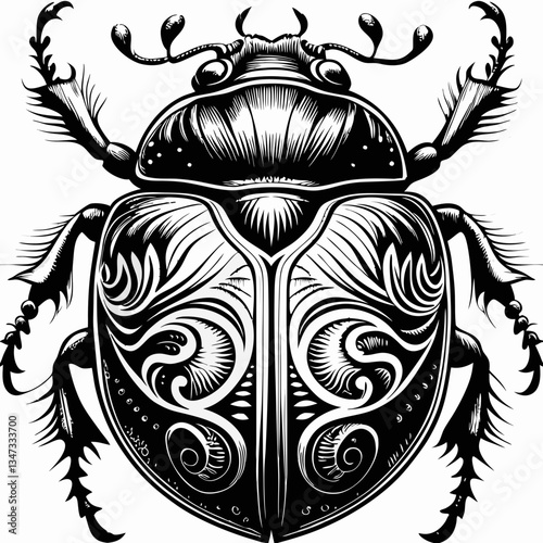 a detailed artistic drawing of an elegant beetle. The illustration is a black and white design, highlighting intricate patterns and textures