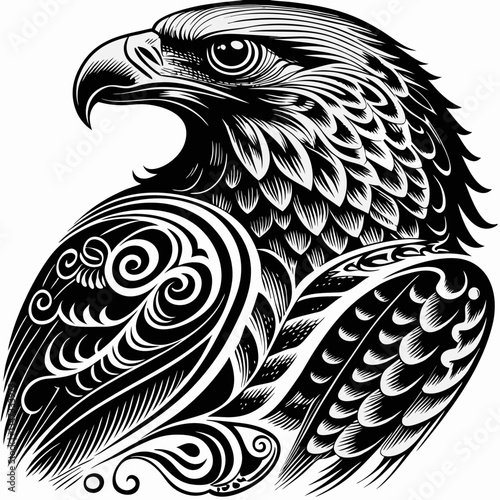 a detailed black and white drawing of an eagle, showcasing its powerful gaze and intricate feather patterns