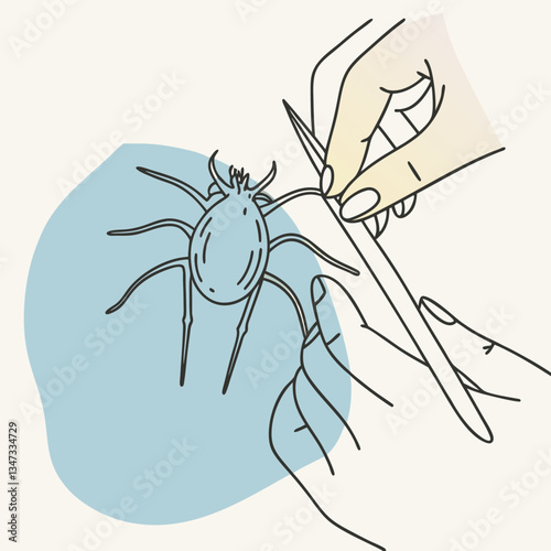 Removing a tick with caution during the tick season  