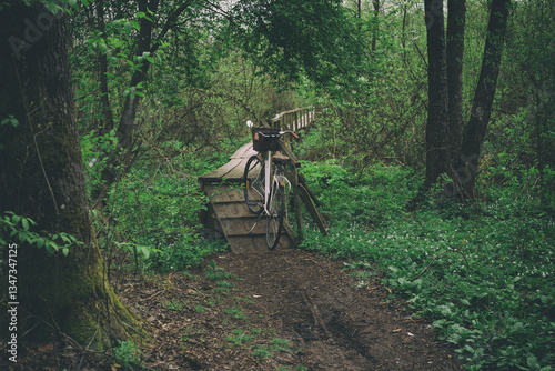 vintage bike on the old wooden bridge over small forest river.spring mood