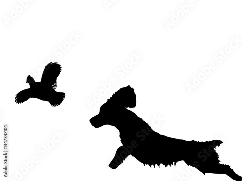spaniel and game bird