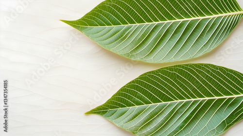 Two Green Leaves On A Light Wooden Background