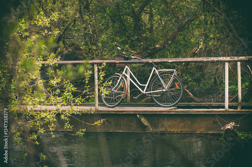 vintage bike on the old wooden bridge over small forest river.spring mood
