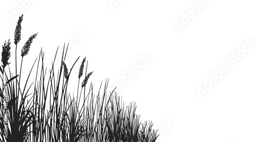 Silhouette of cattails and reeds. Wild grass on the river bank. Swamp coastal plants.