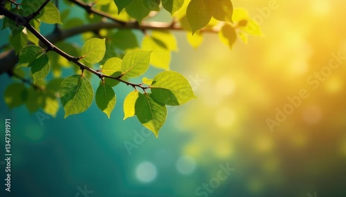 Isolated tree branch against colored background, colorful, foliage, leaf