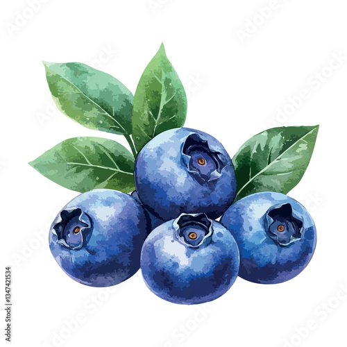Close up of four blueberries on a leaf. The leaf is green and the berries are small.