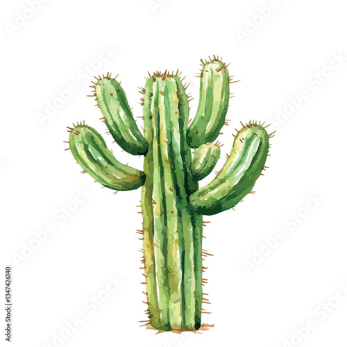 Large green cactus with many spines. The cactus is the main focus of the image.
