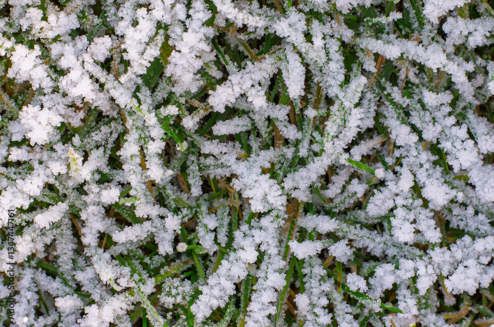 Frozen ice crystals on grass in winter