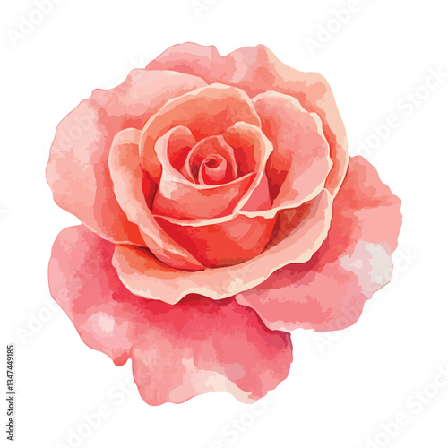 Pink rose with a red center. The rose is the main focus of the image.