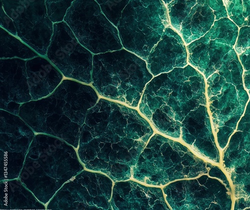 Detailed Cabbage Leaf Texture Close Up Green and Yellow Veins