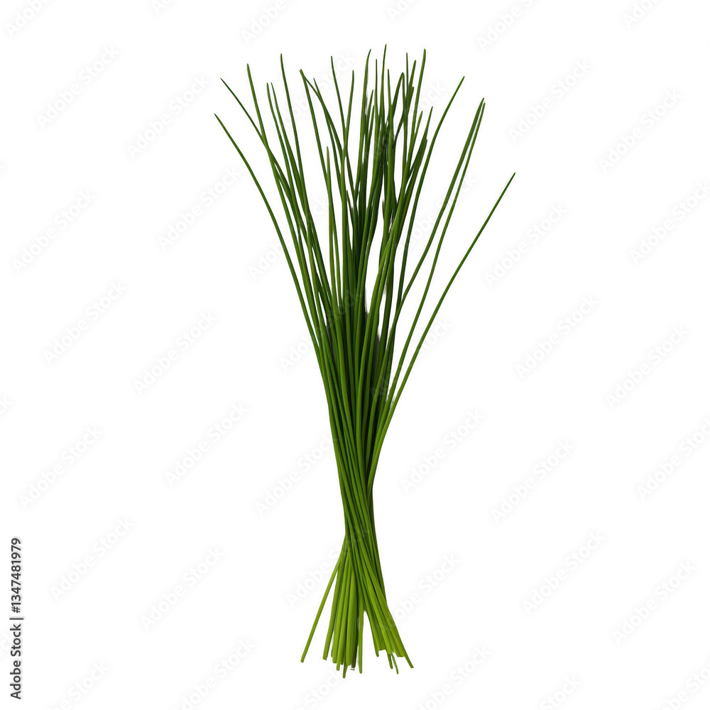 A bunch of green herbs are displayed on a white background. The herbs are arranged in a way that they are standing upright, with some overlapping each other. Scene is fresh and natural A bunch of green herbs are displayed on a white background. The herbs are arranged in a way that they are standing upright, with some overlapping each other. Scene is fresh and natural
