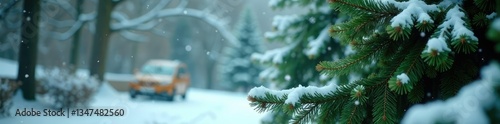 Evergreen Christmas Tree amidst snow-covered branches, greenery, winter