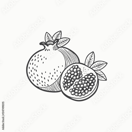 Hand drawn pomegranate design. Delicious fruit. Hand drawn sketch. Vintage style. minimalist head logo, Icon, element. Vector illustration